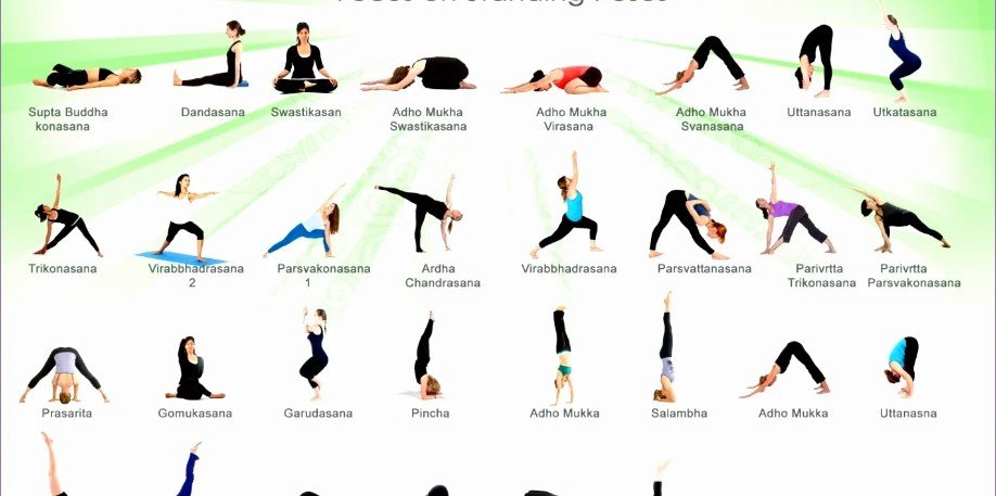 Yoga for Beginners